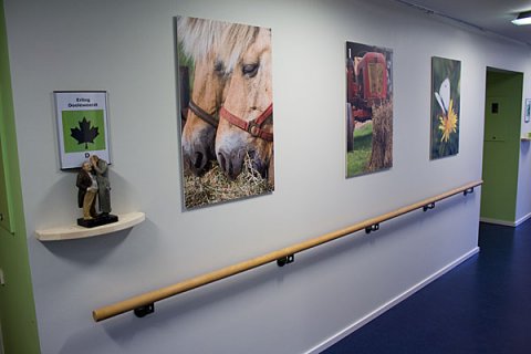 Vægfotos i Engparken i Brande